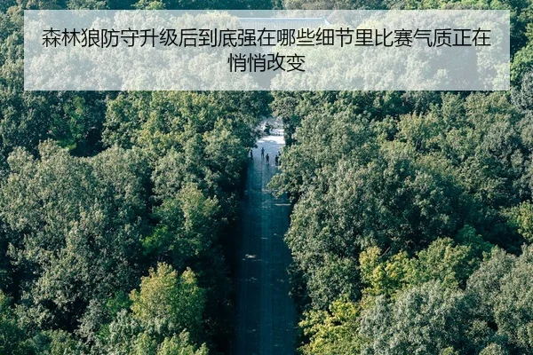 森林狼防守升级后到底强在哪些细节里比赛气质正在悄悄改变